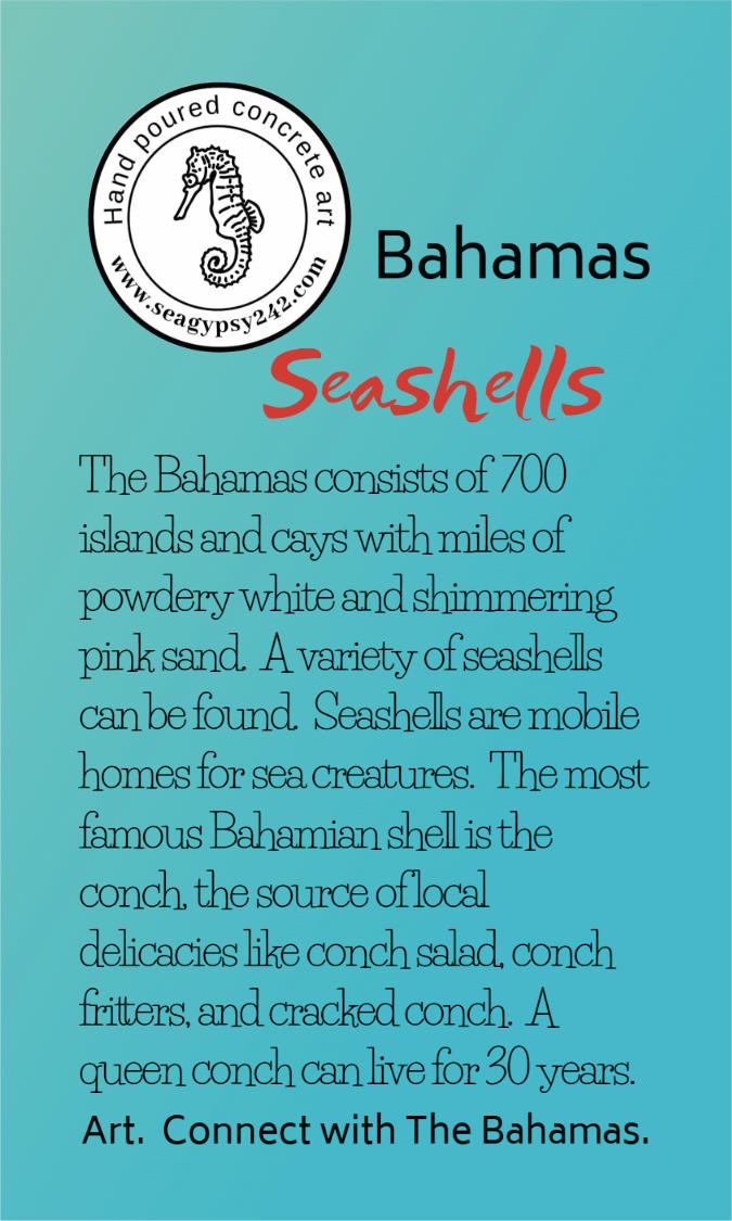 Bahamian seashells story card